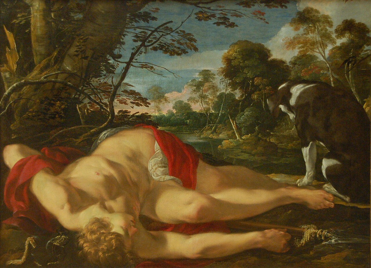 Adonis muerto