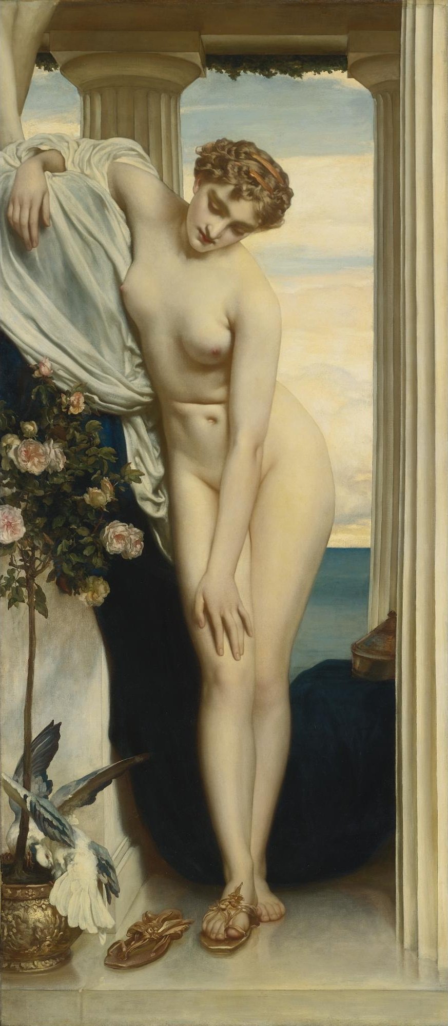 Venus se desnuda para el baño